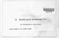 Image Associated With the Occurence